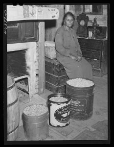 The mother of Mr. Edgar Jones, FSA (Farm Security Administration) client with peanuts that are being stored for the winter. Woodville, Greene County, Georgia