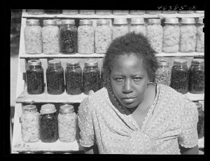 [Untitled photo, possibly related to: FSA (Farm Security Administration) family with the 1000 cans of fruit, vegetables, etc. they have canned for the winter. Near White Plains, Greene County, Georgia]