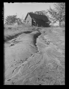 [Untitled photo, possibly related to: Erosion on a farm west of Greensboro, Greene County, Georgia]