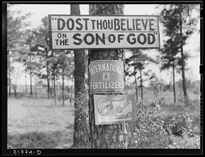 Signs on tree along highway. Greene County, Georgia