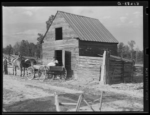Colored tenant farmer taking home bags of fertilizer. Greene County, Georgia