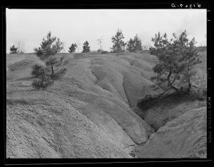 Eroded land. Greene County, Georgia