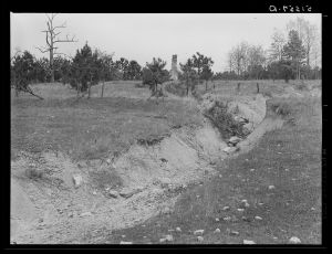 [Untitled photo, possibly related to: Land on Jackson place from roof. Greene County, Georgia]