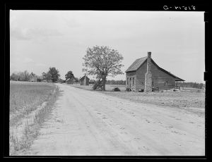 [Untitled photo, possibly related to: Old deserted shack, tenant house, in grain field. Greene County, Georgia]