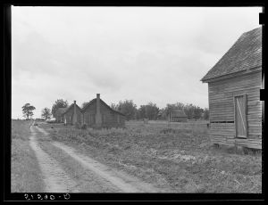 [Untitled photo, possibly related to: Part of old plantation showing line of tenant houses along road leading to main house. Georgia]