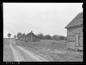[Untitled photo, possibly related to: Part of old plantation showing line of tenant houses along road leading to main house. Georgia]