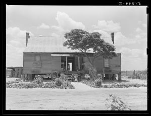 General Took's old home. He and his wife Henrietta sitting on steps. Flint River Farms, Georgia