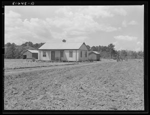 [Untitled photo, possibly related to: Steel house operated by Larry Hall. Flint River Farms, Georgia]
