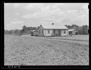 Steel house operated by Larry Hall. Flint River Farms, Georgia