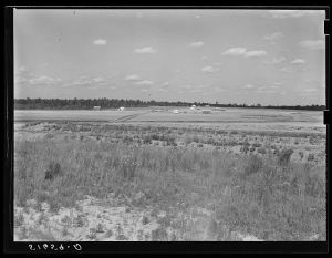 General view of section on Flint River Farms, Georgia