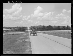 Highway near Greensboro, Georgia