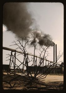Sawmill at the Greensboro Lumber Co., Greensboro, Ga.
