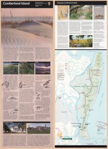 Cumberland Island National Seashore, Georgia