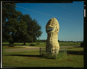 Smiling Peanut, South Side of Highway 49, Plains, Sumter County, GA