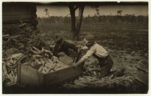 Children thrashing corn during school hours on a farm near Dublin. Many such light occupations fall to the lot of the Georgia child. Location: Dublin [vicinity], Georgia.