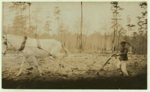 [Rader Copeland (Lake Park). He was plowing during school hours and will lose 10 weeks of schooling. His father said that he needed the boy's help. He plows, plants, chops cotton, picks cotton. The father said: "He ain't very fast." Said he was 10 years old. The sister said he was 12 years old.] Location: Valdosta, Georgia.