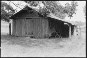 W.D. Marchant farm, Whiddon, Georgia