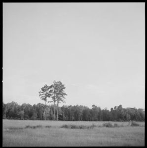 Janie Doss, Tift County, Georgia