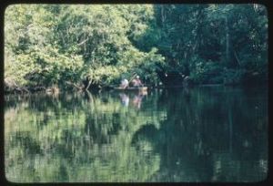 Fishing on Alapaha River near US 319