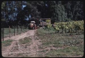 Akins family, Berrien County, Georgia
