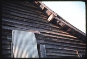 Shellhorse farm, Tifton, Georgia