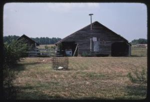 Whiddon farm: , Tift County, Georgia