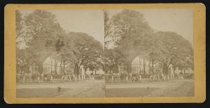 Election scene, November 1st 1868