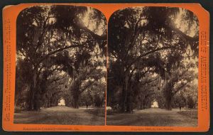 Bonaventure Cemetery, Savannah, Ga.