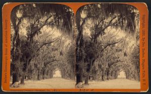 Bonaventure Cemetery, Savannah, Ga., No. 1