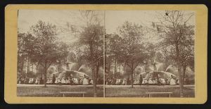 Park fountain playing / photographed by J.N. Wilson, No. 143 Broughton Street, Savannah, Ga.