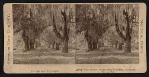 Moss Avenue Bonaventure Cemetery, Savannah, Ga., U.S.A.