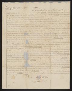 Sheriff's Sale of Peter Vandyke land on Colonels Island to E. Henry Schmidt, 1794