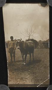 Julia King Collection - Boy with cow