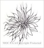 Drawing from sketchbook dated January 2 1996, black pen and ink floral sketches