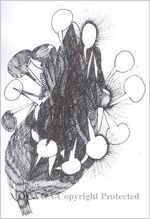 Drawing from sketchbook dated March 24 1998, black pen and ink sketches