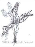 Drawing from sketchbook dated Sept. 1999-Sept. 2000, black pen and ink sketches