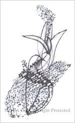 Drawing from sketchbook dated Sept. 1999-Sept. 2000, black pen and ink sketches