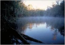Altamaha River