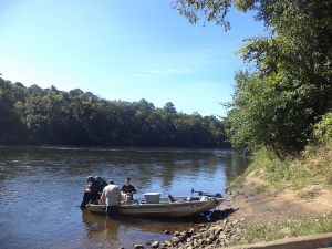 Flint River Shore