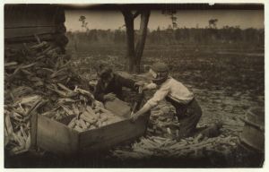 Children Threshing Corn