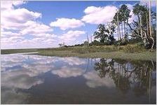 Cumberland Island