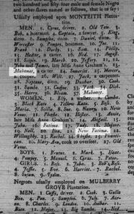 Names of Enslaved Muslims, 1781