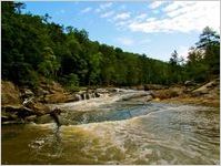 Georgia Conservancy