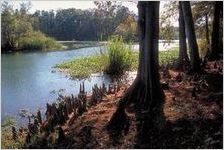 Georgia Wildlife Federation