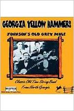 Georgia Yellow Hammers
