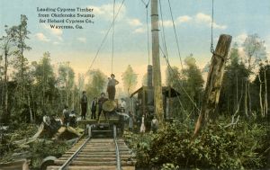 Hebard Cypress Mills