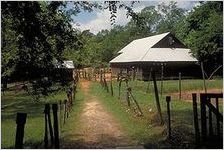 Jones County