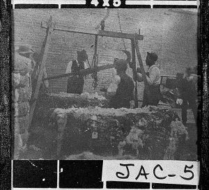 Cotton Weighing