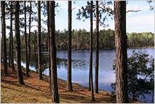 Gordonia-Alatamaha State Park