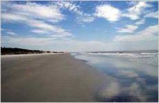 Wassaw Island